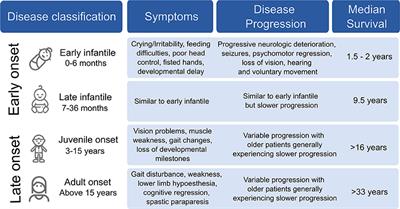 Krabbe Disease: Prospects of Finding a Cure Using AAV Gene Therapy